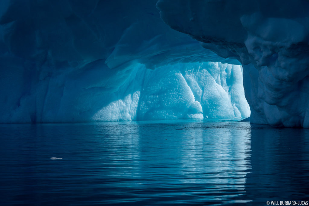 Iceberg Window