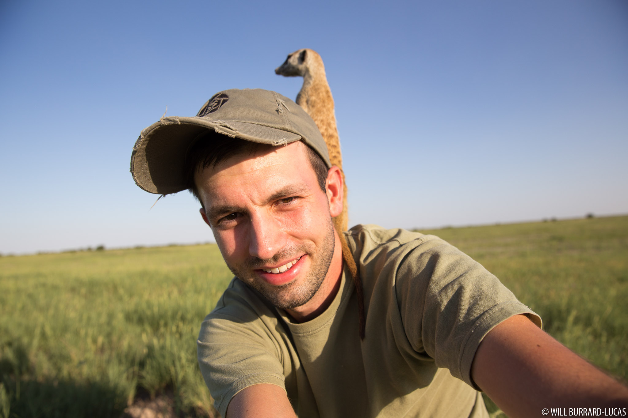 Meerkat Selfie