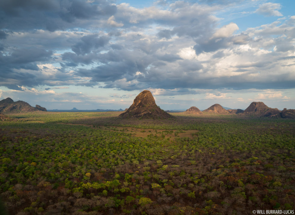 Niassa Reserve | Photos Pictures Images