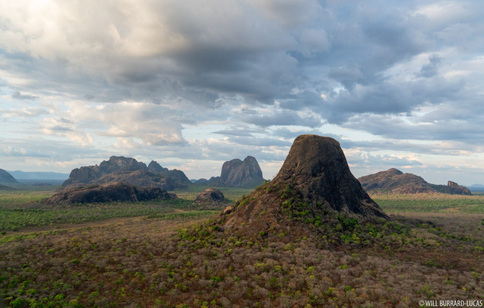 Niassa Reserve | Photos Pictures Images