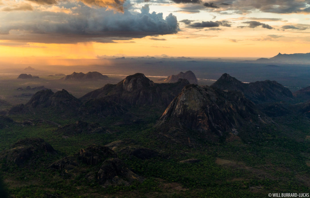 Niassa Reserve Photos Pictures Images