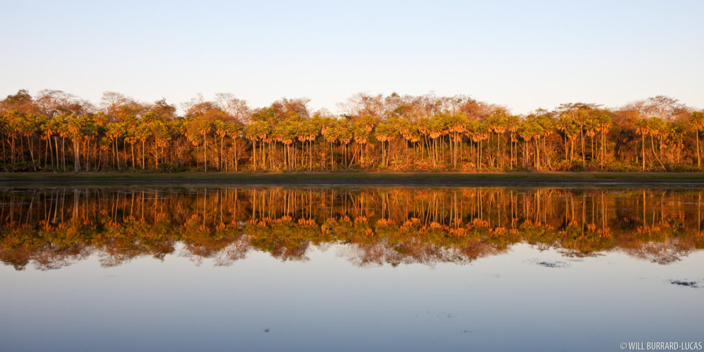 The Pantanal | Photos Pictures Images