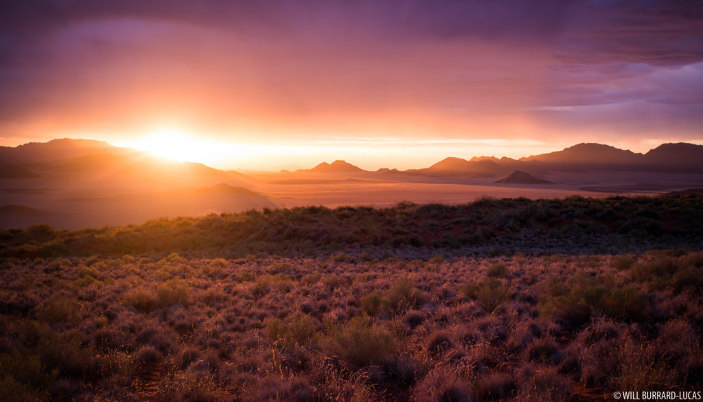 Namib Desert Sunset